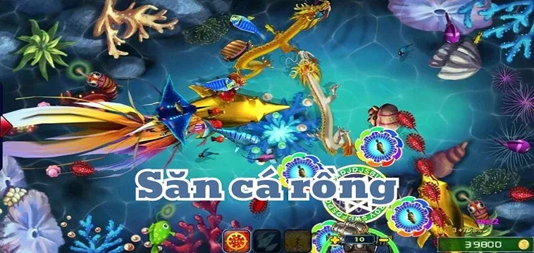 Cách Chơi Bắn Cá Rồng U888 Thắng Lớn Với Mẹo Từ Cao Thủ
