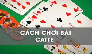 Cách Chơi Sắc Tê Nhà Cái U888 Chuẩn Xác Nhất